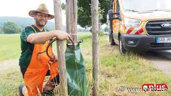 "Infusion" für durstige Bäume: Pfreimd und Nabburg erproben Bewässerungssack - Onetz.de