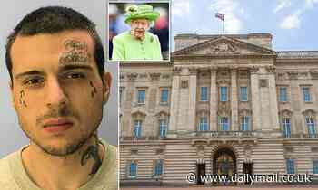 Man who trespassed in Buckingham Palace grounds to see Queen has 'mental health issues', court hears - Daily Mail