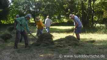 Karlsfeld: BN bringt Mähgut auf ehemaliges Finkgelände - Dachau - SZ.de - Süddeutsche Zeitung - SZ.de