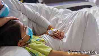 Coronavirus outbreak at children's summer camp in Germany - WSWS