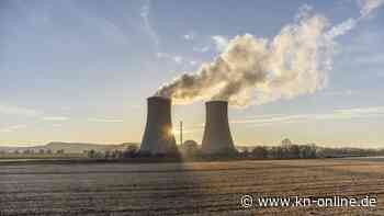 Warum Polens Opposition deutsche Atomkraftwerke pachten möchte