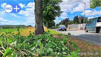 Straßenmeisterei schneidet Büsche an gefährlicher Stelle bei Gestorf - HAZ