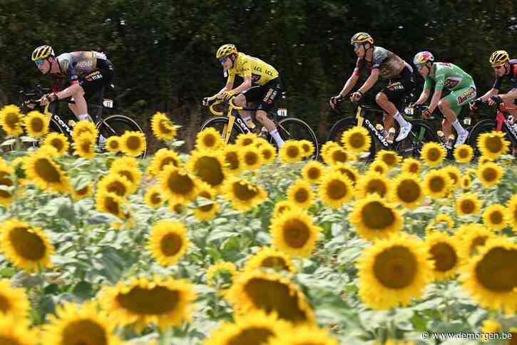 Draagt de koning van de Tour nu een geel of groen shirt? - De Morgen