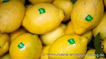 Bio weiterhin gefragt - im Discounter und Supermarkt