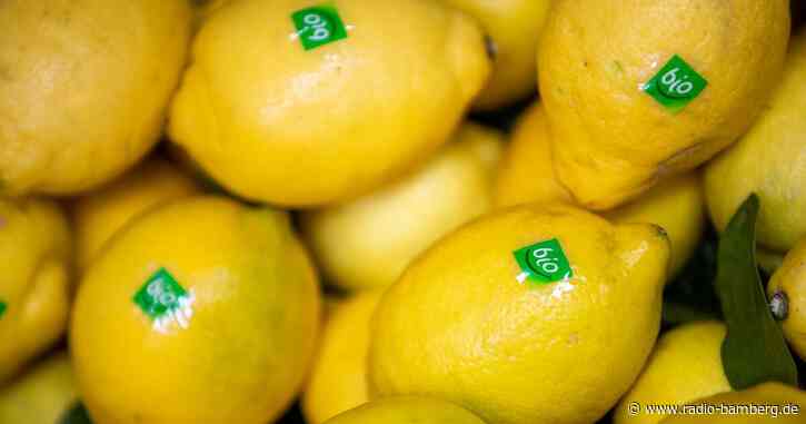 Bio weiterhin gefragt – im Discounter und Supermarkt