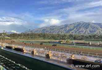 La Breeders' Cup regresa a Santa Anita Park en 2023 - Daily Racing Form