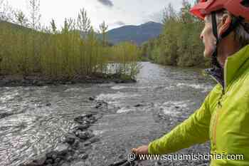 This is how you can influence seniors programming in Squamish - Squamish Chief