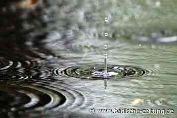 Wo bei Breisach Wasser vom Batzenberg versickert, ist ein Biotop entstanden - Breisach - badische-zeitung.de