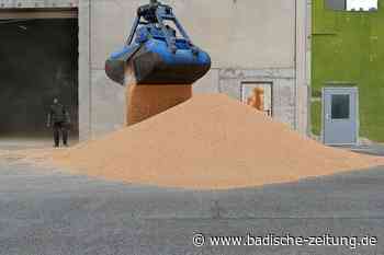 Die Geschäfte am Rheinhafen Breisach laufen auch ohne Kies und Öl - Breisach - badische-zeitung.de