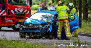 Automobilist gewond door botsing tegen boom in Apeldoorn - De Gelderlander