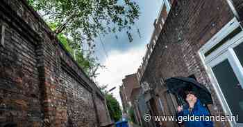 Boom die uit muur groeit is toch van gemeente en die heeft hem nu gesnoeid: 'Gevaarlijke situatie' - De Gelderlander