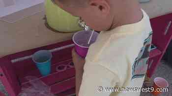 West Texans support people with rare medical conditions by selling lemonade - NewsWest9.com