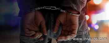 Whitby man charged after firing gun into occuped vehicle | inDurham - insauga.com