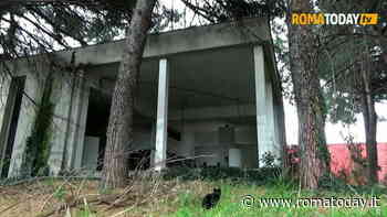 Tor Bella Monaca: la biblioteca di via Merlini arriva in aula Giulio Cesare