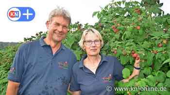 Süße Himbeeren aus Heinkenborstel, saftige Blaubeeren aus Bargstedt