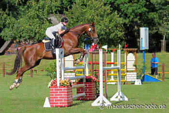 Der RFV Cottbus lädt zum Dressur- und Springturnier ein - Märkischer Bote