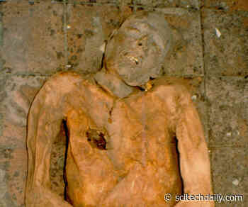 Scientists Successfully Reconstruct Ancient Genome Using a 600-Year-Old Mummy