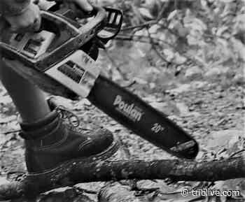 Springdale police accuse tree trimmer of failing to finish work after cashing check - TribLIVE