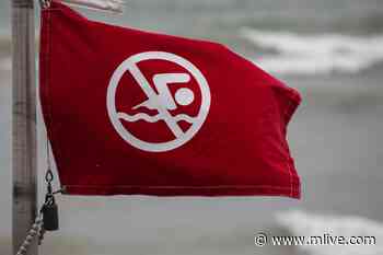 South Haven police issue more than 2 dozen $1,000 citations for beach red-flag violations - MLive.com