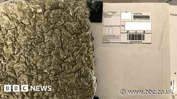 Blackpool drug arrests: Three held over California cannabis imports