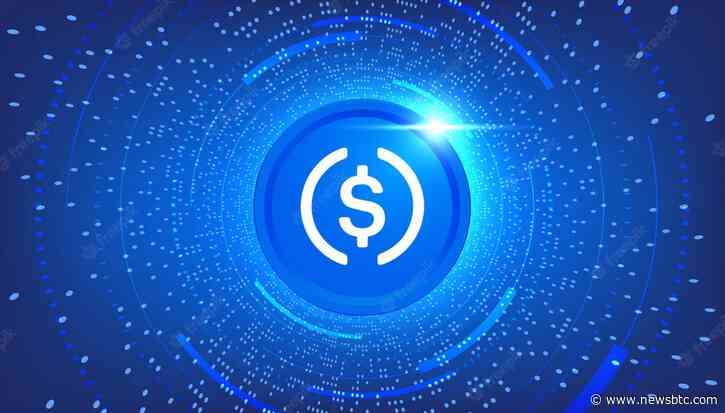 USD Coin Long-Term Technical Score of 23 Signals Bearish Pattern