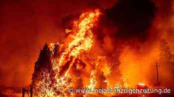 Feuer nahe Yosemite bedroht mehr als 1300 Häuser