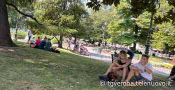 Polato contro Tommasi: Turisti sdraiati sull'erba in piazza Bra come fosse una spiaggia - TG Verona