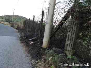 Genzano, erba incolta e rovi invadono la strada in via dell'Aspro, nel più totale degrado. Incendio... - ilmamilio.it - L'informazione dei Castelli romani