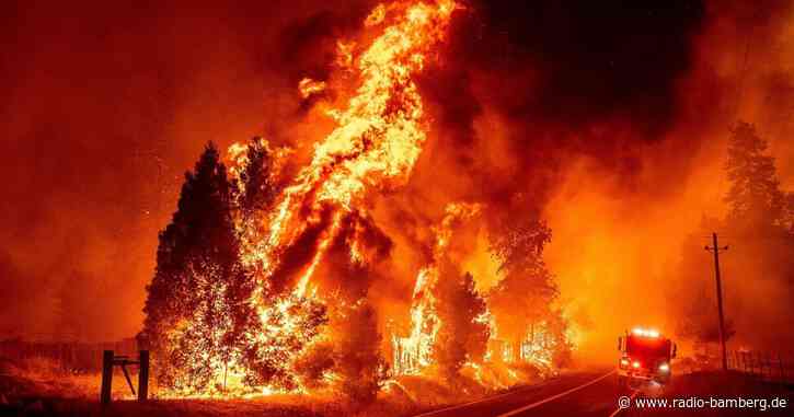 Feuer nahe Yosemite bedroht mehr als 1300 Häuser