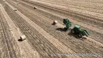 This Week in Agribusiness, July 23, 2022