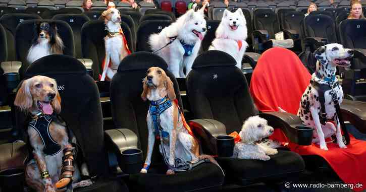 Hunde schauen sich in Köln Film über «Super-Pets» an