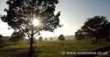 Ashdown Forest rangers plea for public to protect 'home of Winnie-the-Pooh' from fires - Sussex Live