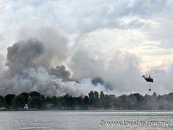 What we can do to keep forest fires at bay - The Star Online