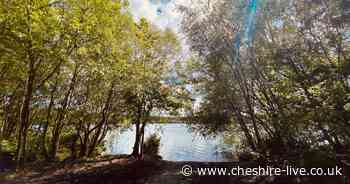 Cheshire's forest paradise and mini Lake District fast becoming staycation destination - Cheshire Live