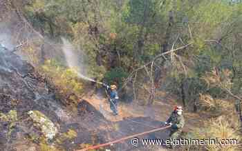 Dadia forest fire burning out of control - Kathimerini English Edition