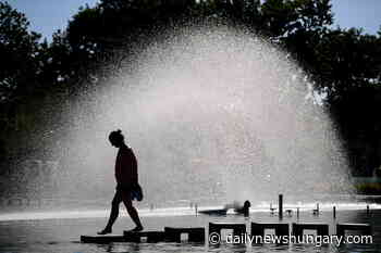 Red alert: 40°C, water shortages, forest fires come in Hungary - dailynewshungary.com