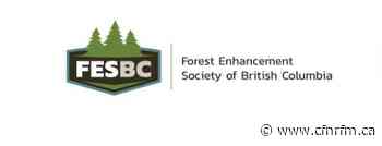 Forest Enhancement Society of BC release report on progress made restoring BC forests - CFNR Network