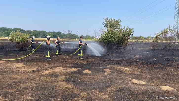 Flächenbrand bei Stutensee-Spöck bedroht Neubaugebiet - SWR Aktuell