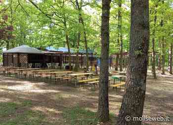 CAMPOBASSO, AL VIA LA PRIMA EDIZIONE DEL SILOS MUSIC & ARTS FESTIVAL - Molise Web