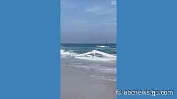 WATCH:  Small plane crashes into water off California beach