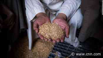 Kyiv and Moscow agree deal to resume Ukraine grain exports