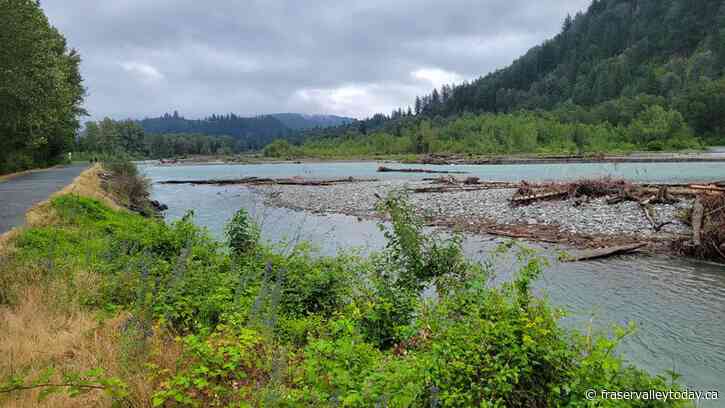 City awards $500,000 contract to Jake’s Construction to remove sediment from Vedder River for flood protection purposes; City seeks to reduce impact to pink salmon