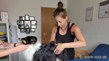 Neue Praxis in Twist: Physiotherapie für Hunde: Nadine Verkerk hilft Vierbeinern mit Rückenproblemen - NOZ