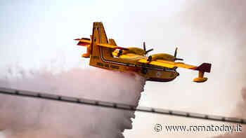 Incendio nella pineta di Castel Fusano, salvato un uomo e due cani. Attesa informativa in Procura