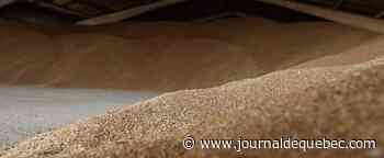 Des missiles russes ont frappé une usine de céréales à Odessa