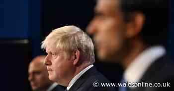 Boris Johnson should withdraw resignation, poll says, as 85% want him as PM