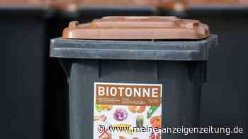 Biotonne stinkt im Sommer: Neuer Standort hilft gegen üblen Geruch