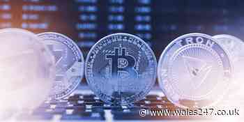 What is the TRON-TRX beginner's guide? - Cardiff - Wales 247