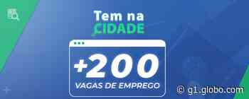 Programa 'Bezerros Mais Oportunidades' disponibiliza vagas de emprego no município - Globo