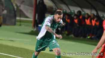 Il Lecco continua a guardare in casa Avellino: si punta il ritorno di Mignanelli - TuttoAvellino.it